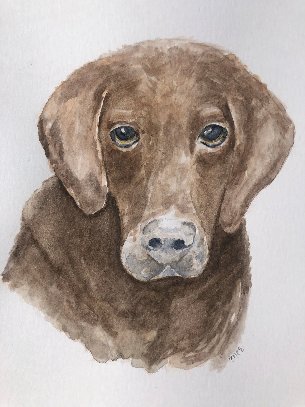 Custom Art- Pet Portrait Watercolor